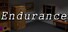 Endurance