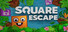 Square Escape