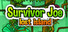 Survivor Joe Lost Island