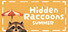 Hidden Raccoons in Summer