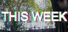 This Week