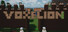 Voxelion