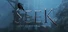 Seek: Light Through Darkness
