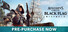 Assassin's Creed Black Flag Resynced