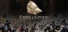 Steel And Sinew