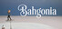 Bahgonia