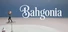 Bahgonia
