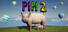 Pih 2