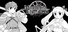 Monochrome Echoes - black -