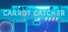 Carrot Catcher