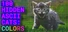 100 Hidden ASCII Cats: Colors