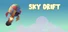 SKY DRIFT