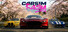 CarSim Racing
