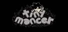 tinymancer
