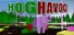 Hog Havoc