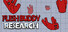 Flesh Buddy Research