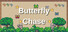Butterfly Chase