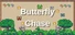Butterfly Chase