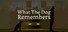 What The Dog Remembers