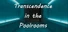 Transcendence in the Poolrooms