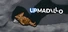 Upadillo