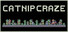 Catnip Craze