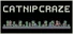Catnip Craze