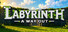 Labyrinth A Way Out
