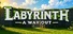 Labyrinth A Way Out