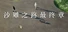 沙雕之路最终章