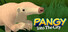 Pangy: Into The City