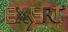 eXSert