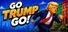 Run for Office
