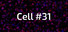 Cell #31
