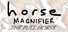 Horse Magnifier: The Full Horse
