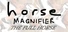 Horse Magnifier: The Full Horse