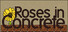 Roses In Concrete