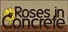 Roses In Concrete