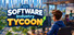 软件产业大亨  Software Industry Tycoon