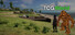 TCG World
