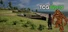 TCG World
