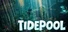 Tidepool