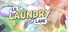 Lil Laundry Lane