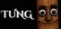 TUNG