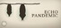 Echo Pandemic