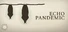 Echo Pandemic
