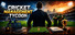 Cricket Management Tycoon
