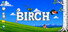 Birch
