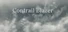 Contrail Blazer