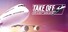 Take Off - The Flight Simulator